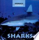 Sharks cover