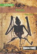 Fossils cover