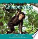 Chimpanzees cover