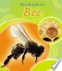 The Life Cycle of a Bee cover