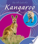 The Life Cycle of a Kangaroo cover
