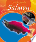 The Life Cycle of a Salmon cover