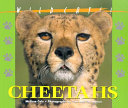 Cheetahs cover