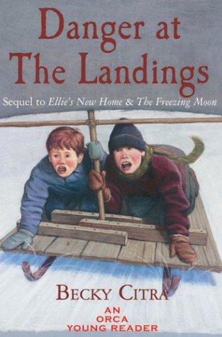 Danger at The Landings cover