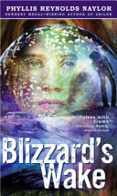 Blizzard's Wake cover