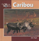 Caribou cover