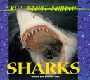 Sharks cover
