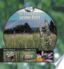 The Ecosystem of a Grassy Field cover
