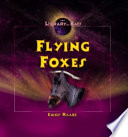 Flying Foxes cover