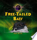 Free-Tailed Bats cover
