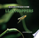 Leafhoppers (The Really Wild Life of Insects) cover