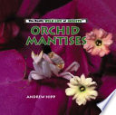 Orchid Mantises (The Really Wild Life of Insects) cover