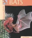 Bats cover