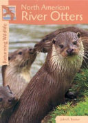 North American River Otters cover