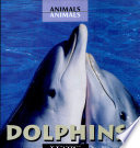 Dolphins cover