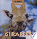 Gorillas cover