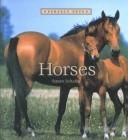 Horses cover