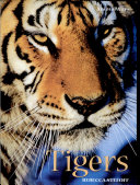 Tigers cover