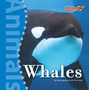 Whales cover