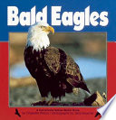 Bald Eagles cover