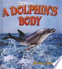 A Dolphin's Body cover