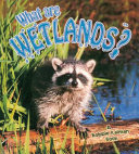 What Are Wetlands? cover
