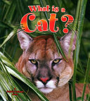 What Is a Cat? cover