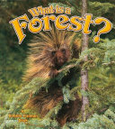 What Is a Forest? cover
