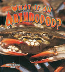 What Is an Arthropod? cover