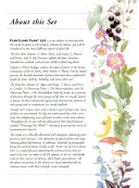 Flowering Plants: The Dicotyledons cover