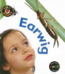 Earwig cover