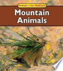 Mountain Animals cover