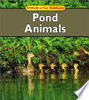 Pond Animals cover