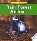 Rain Forest Animals cover