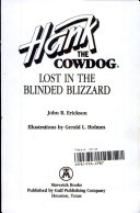Lost in the Blinded Blizzard cover
