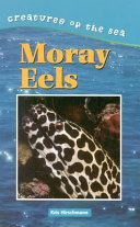 Moray Eels cover