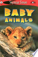 Baby Animals cover