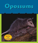 Opossums cover
