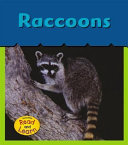 Raccoons cover