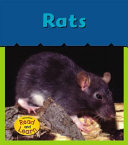 Rats cover