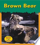 Brown Bear cover