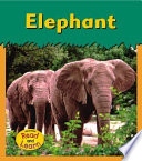 Elephant cover