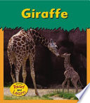 Giraffe cover