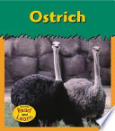 Ostrich cover