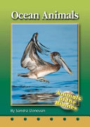 Ocean Animals cover
