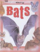 Bats cover