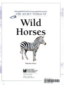 Wild Horses cover