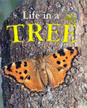 Life in a Tree cover