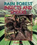 Rain Forest Insects and Spiders cover