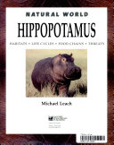 Hippopotamus cover